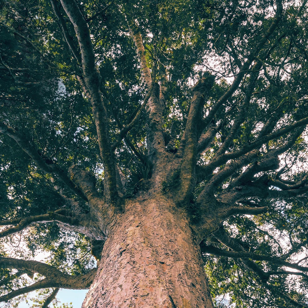 Sustainable <span>Living is Simply </span>Solar